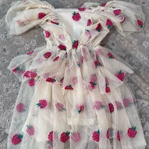 Floral Embroidered Tulle Dress